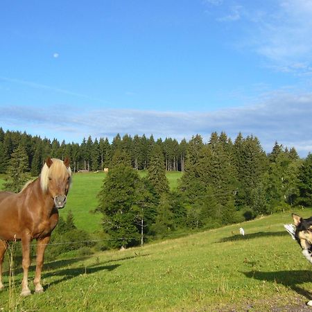 Hoehengasthaus Kolmenhof An Der Donauquelle Furtwangen Eksteriør billede