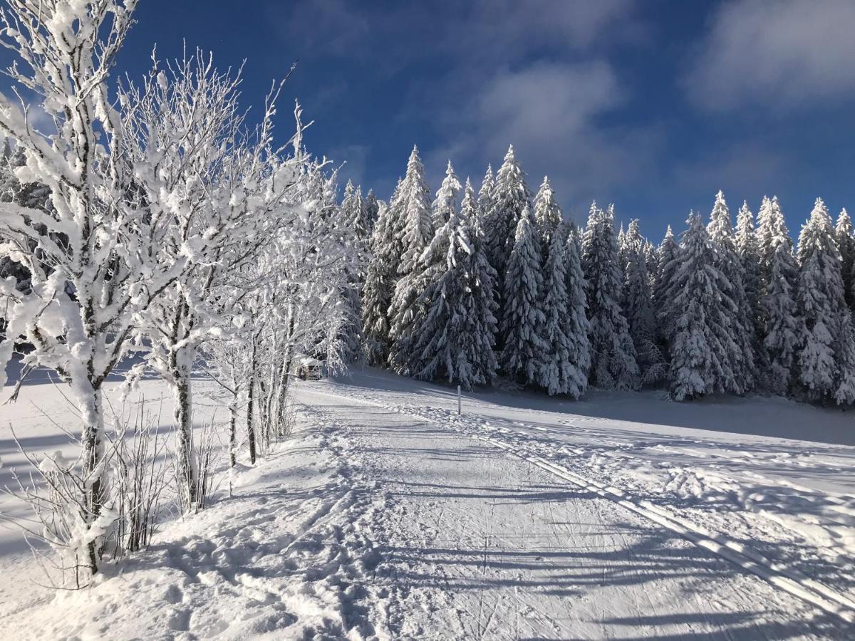 Hoehengasthaus Kolmenhof An Der Donauquelle Furtwangen Eksteriør billede