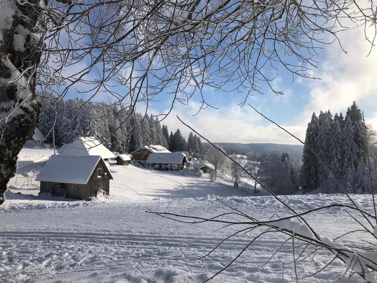 Hoehengasthaus Kolmenhof An Der Donauquelle Furtwangen Eksteriør billede