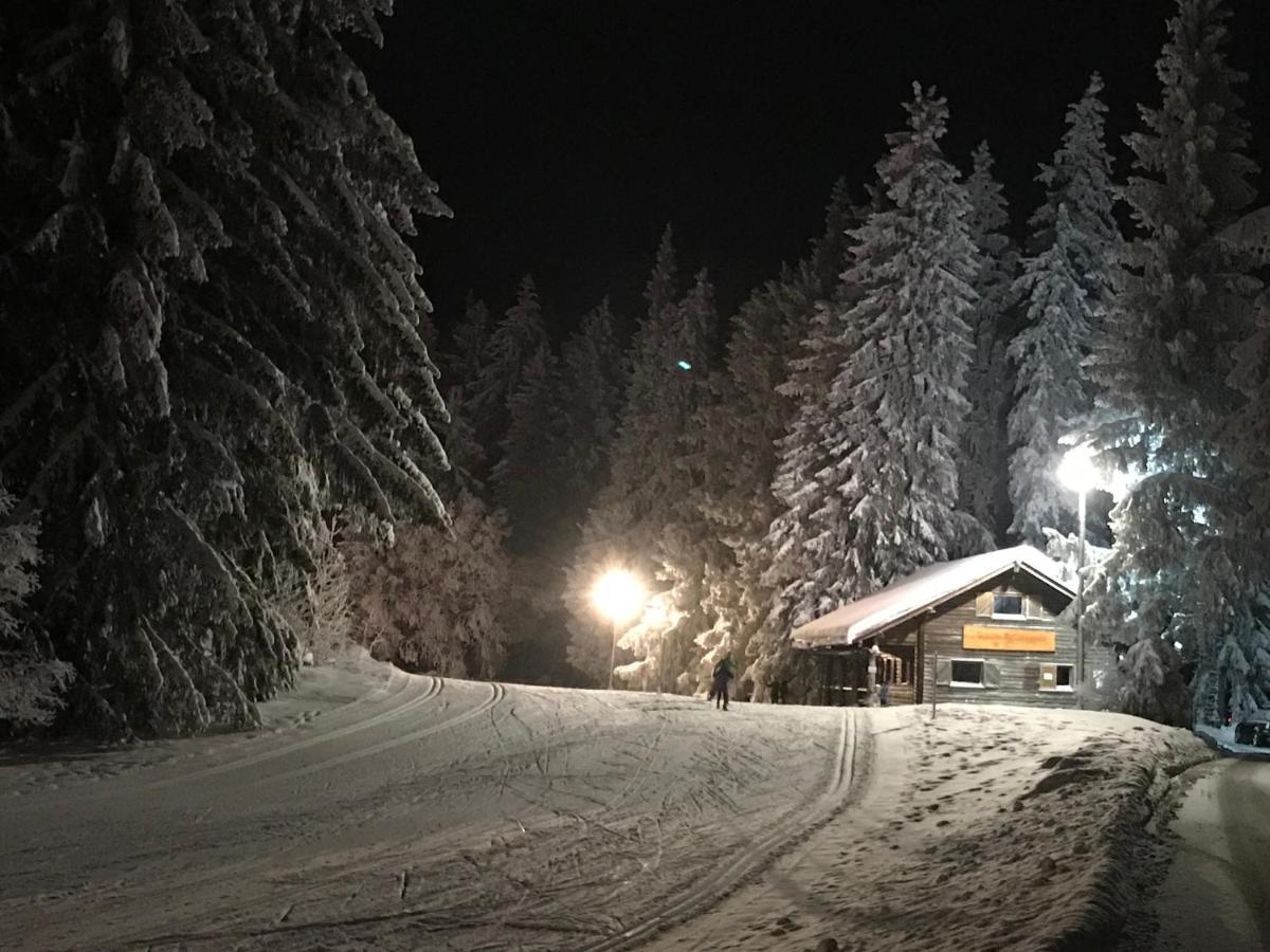 Hoehengasthaus Kolmenhof An Der Donauquelle Furtwangen Eksteriør billede