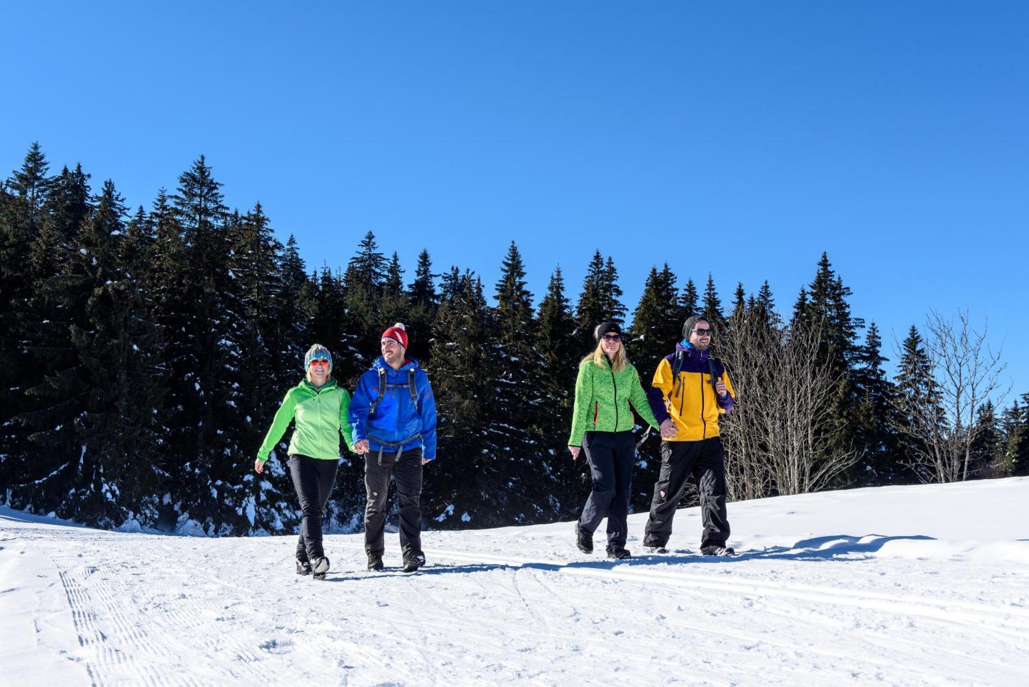 Hoehengasthaus Kolmenhof An Der Donauquelle Furtwangen Eksteriør billede