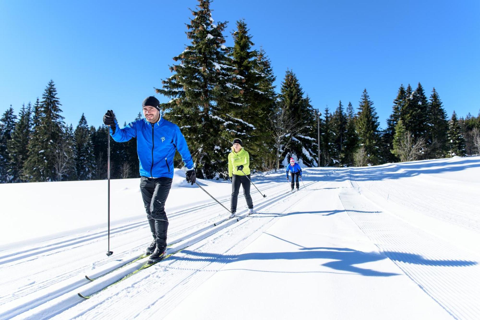 Hoehengasthaus Kolmenhof An Der Donauquelle Furtwangen Eksteriør billede