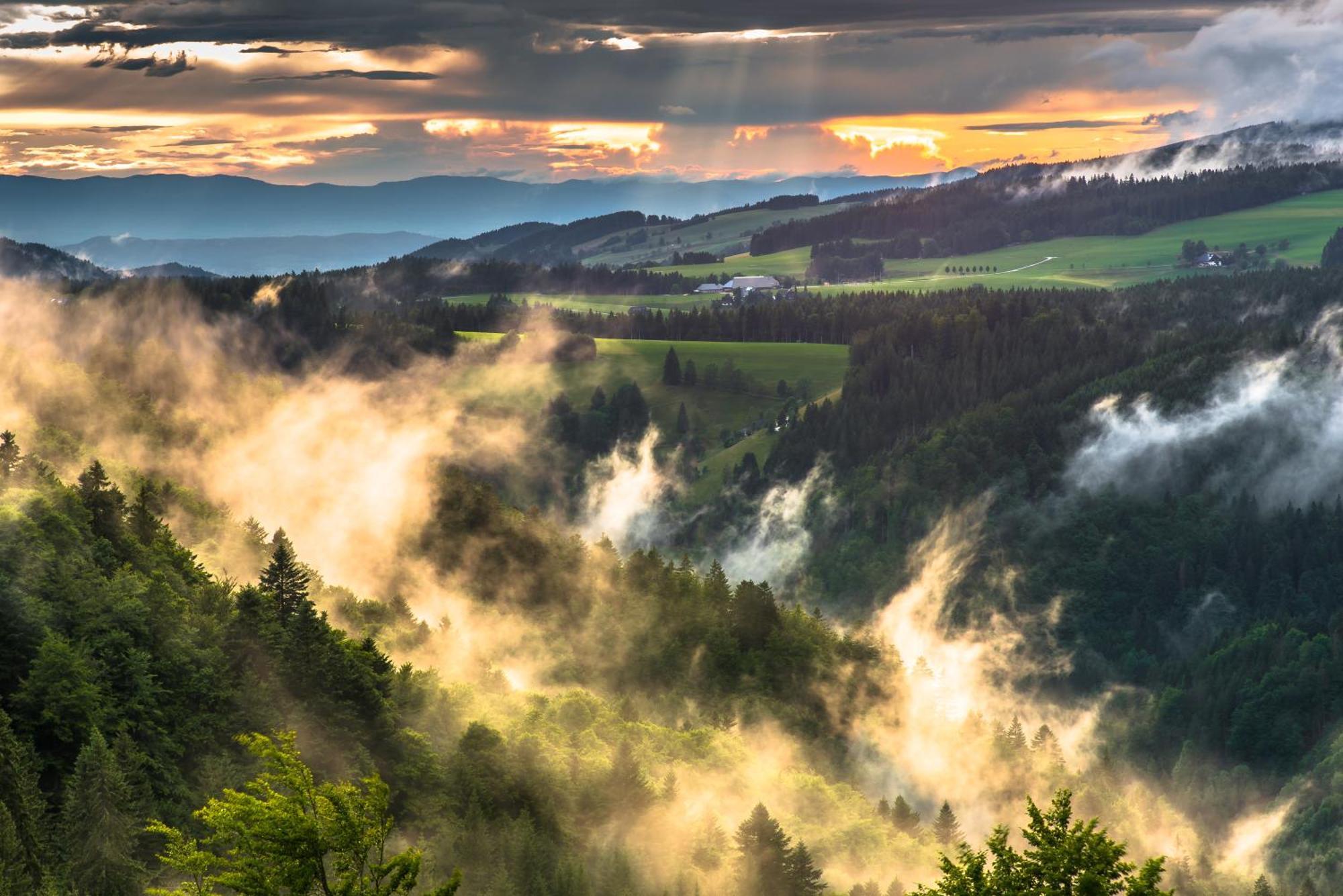 Hoehengasthaus Kolmenhof An Der Donauquelle Furtwangen Eksteriør billede