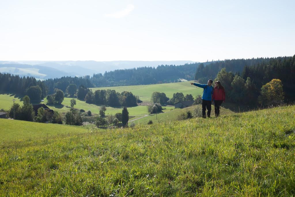 Hoehengasthaus Kolmenhof An Der Donauquelle Furtwangen Eksteriør billede